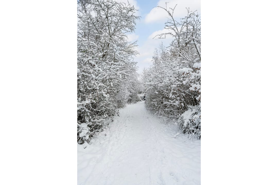 Photo 32 of Anrijperdiep 38