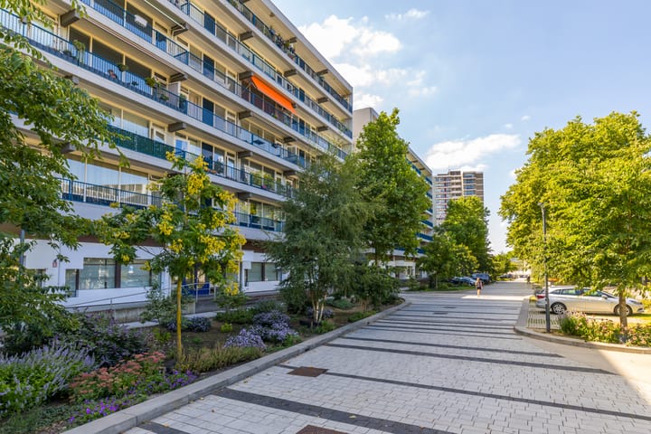 Photo 33 of Burg. van Grunsvenplein 33