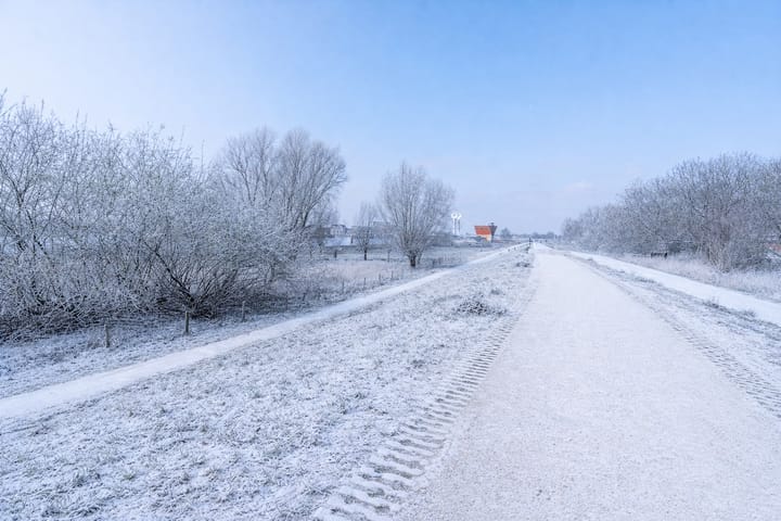 Foto 3 van Händellaan 173