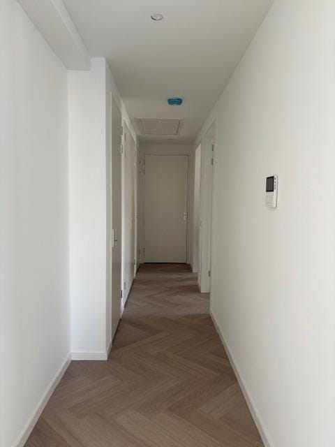 Foto 7 van Scharloo 7-J