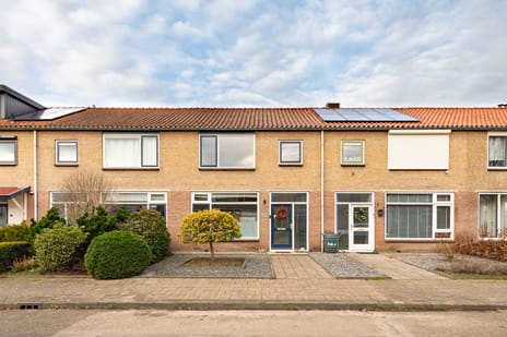 undefined main image