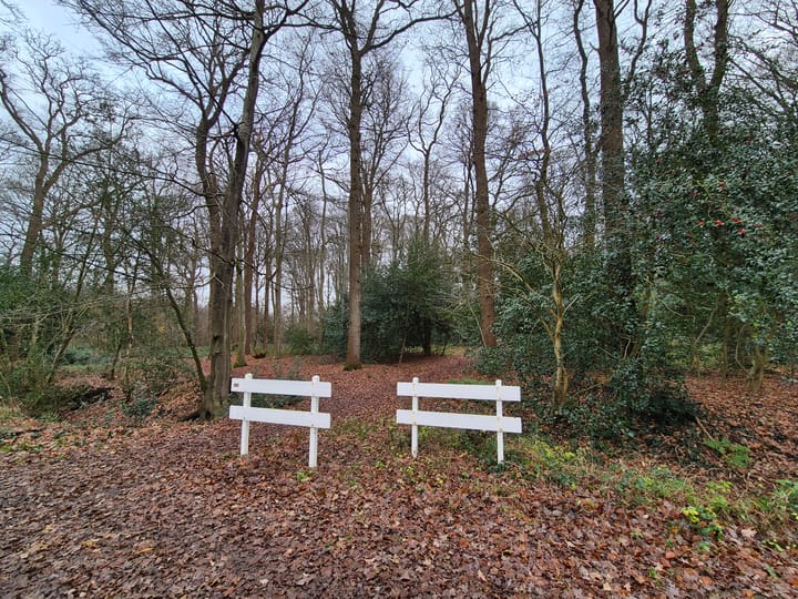 Foto 23 van Schiphorsterweg 40-B