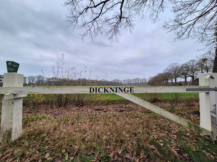 Foto 24 van Schiphorsterweg 40-B