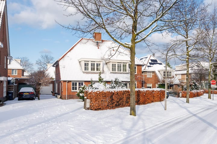 Foto 1 van Laan van Kans 33