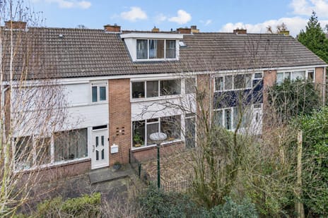 Troelstrastraat thumbnail