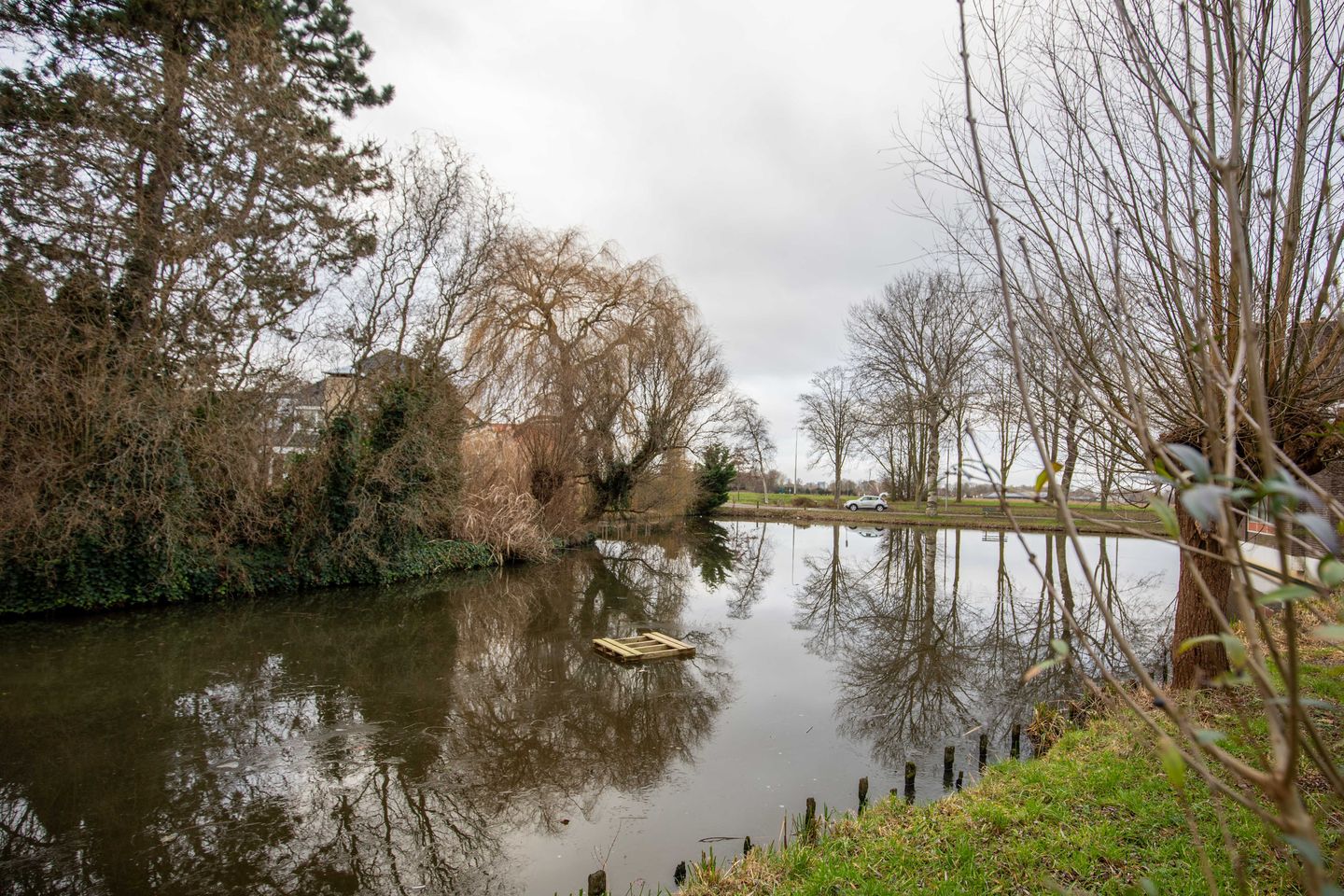 Foto 34 van Hogerlustlaan 47