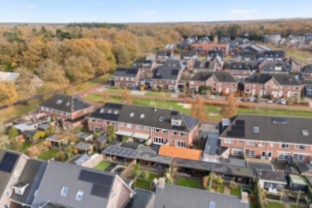 Foto 31 van Molenaarses 47