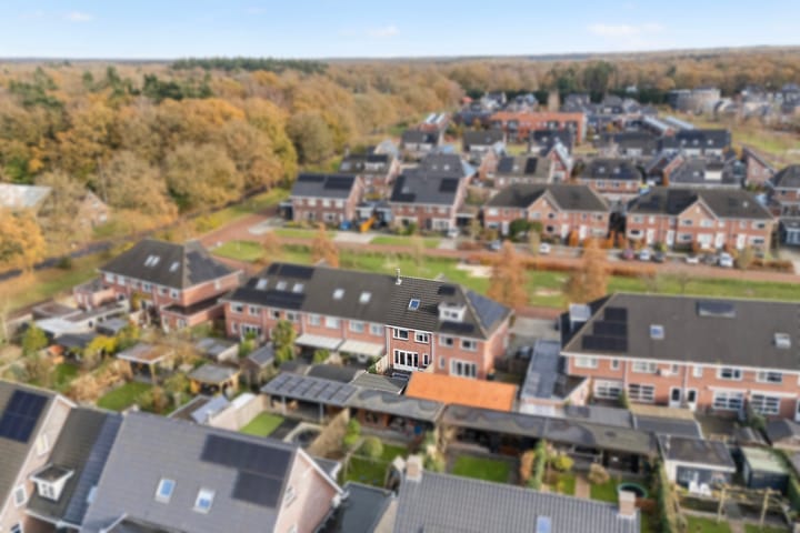 Foto 31 van Molenaarses 47