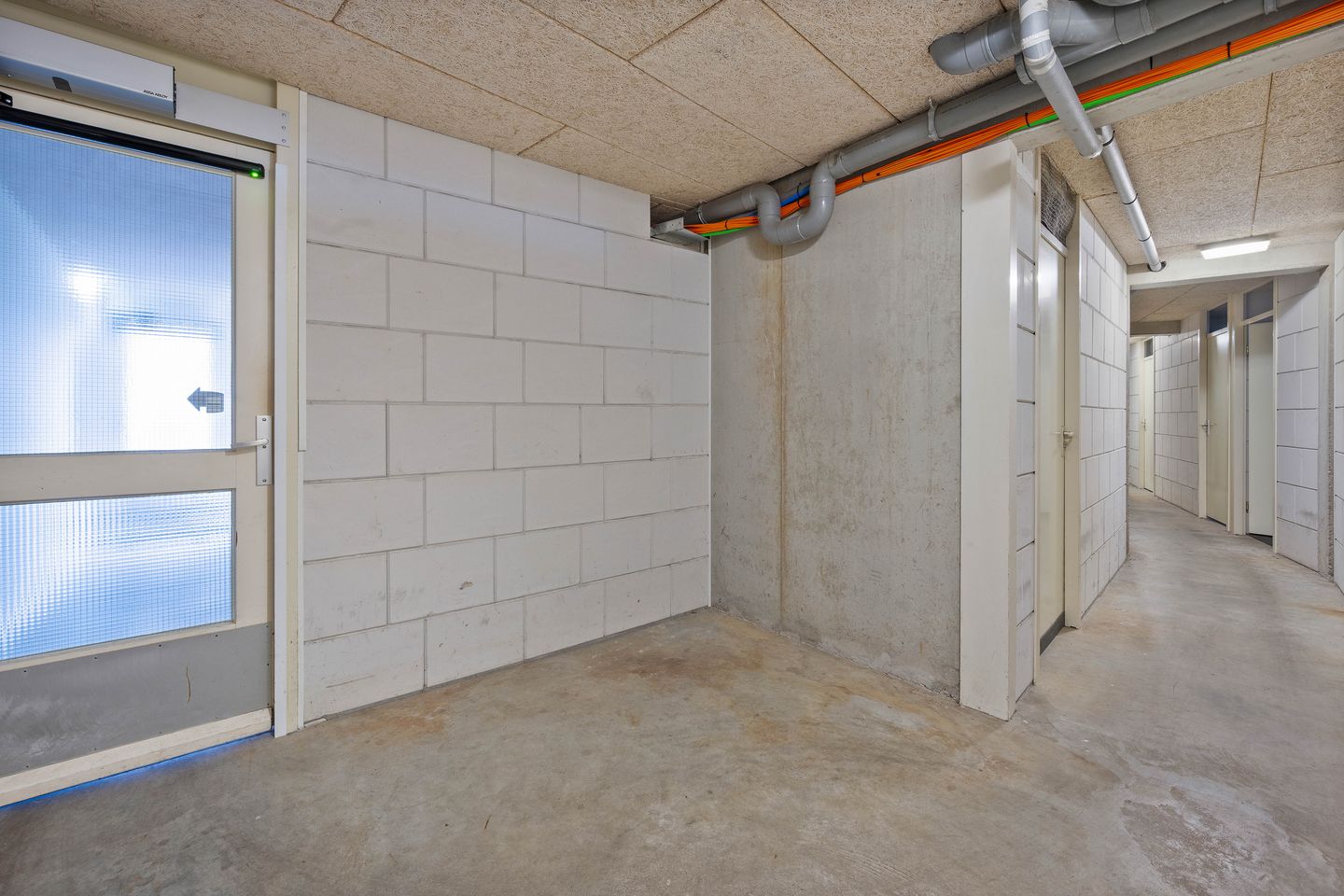 Photo 35 of Wolfsklauw 59