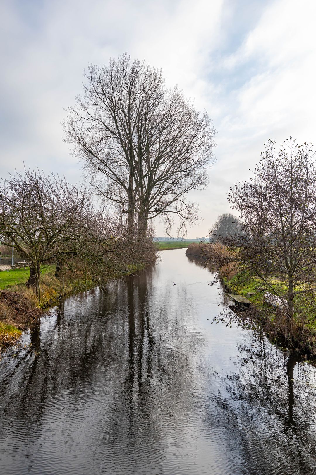 Foto 43 van De Dijk 1