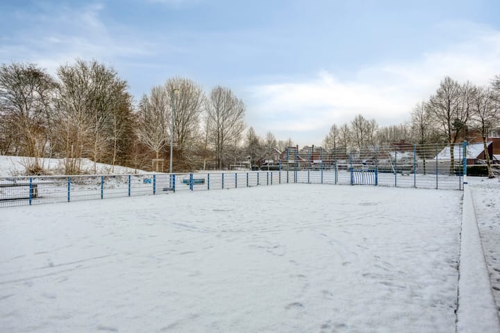 Foto 31 van Amkemaheerd 260