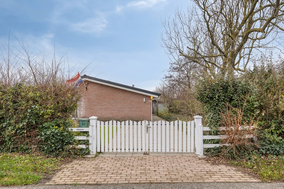 Foto 8 van Branding 15