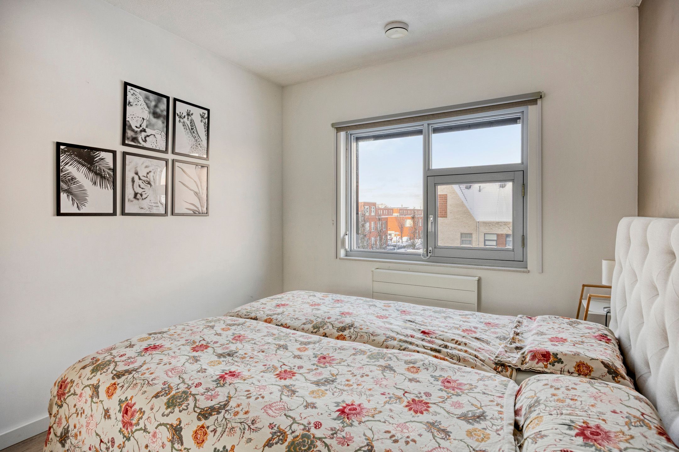 Foto 33 van Schuddebeursstraat 198