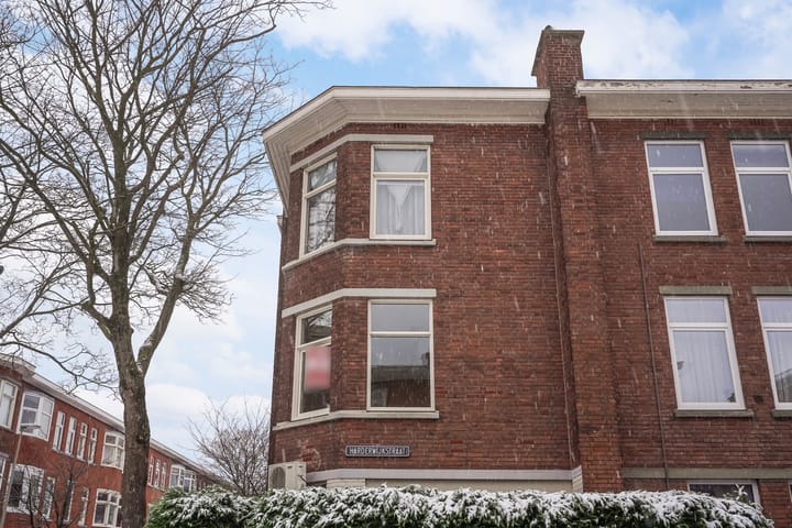 Foto 20 van Velpsestraat 141