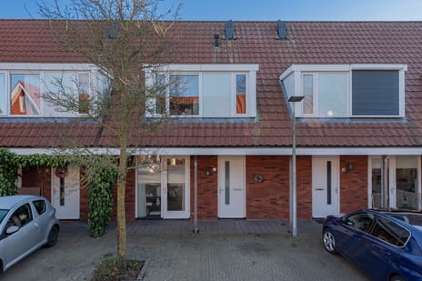 Duinpieper thumbnail