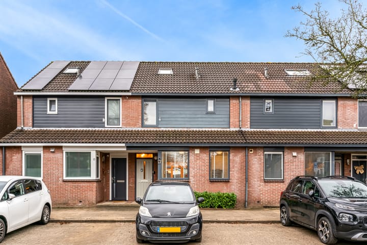 Foto 36 van Rotskruiper 17