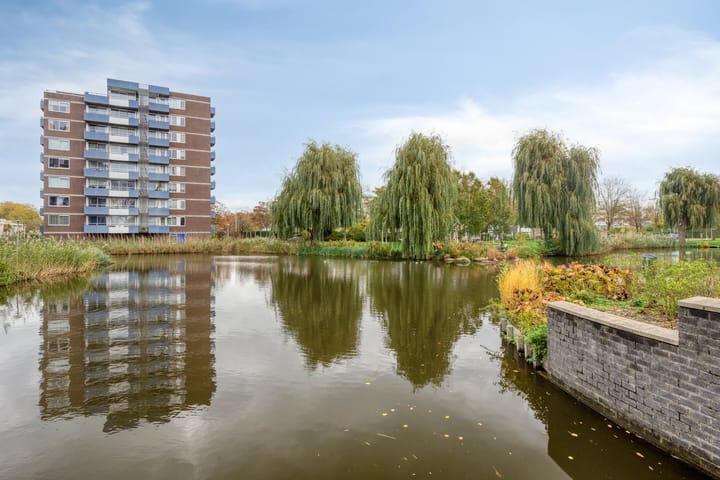 Boterbloem 53 main image