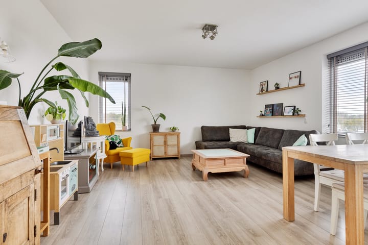 Photo 2 of Boterbloem 53