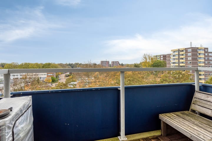 Photo 6 of Boterbloem 53