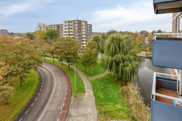 Photo 7 of Boterbloem 53