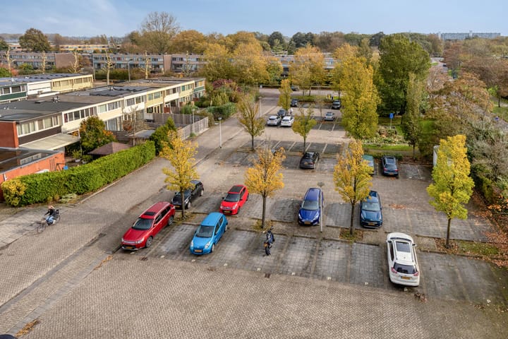 Photo 9 of Boterbloem 53