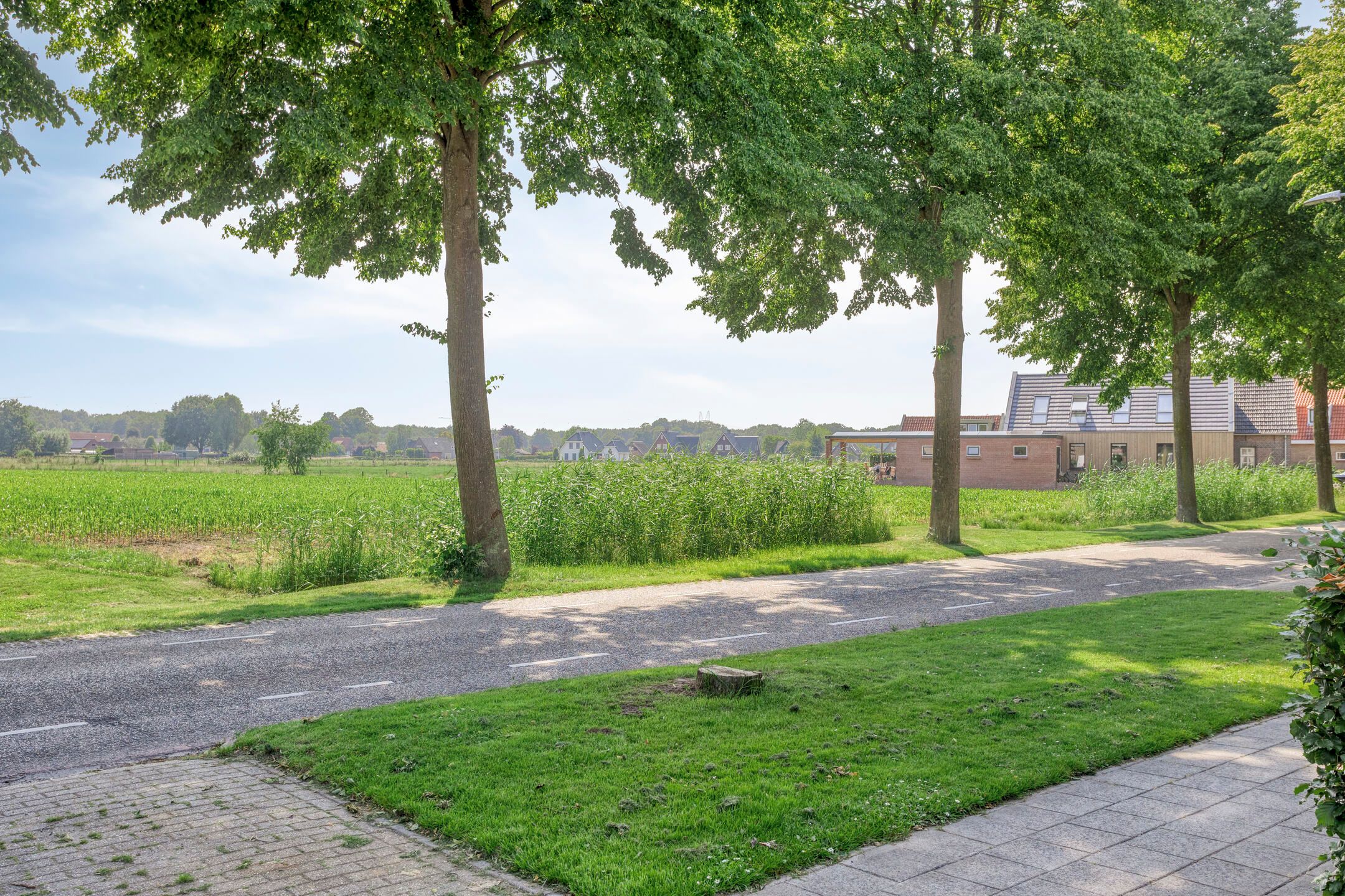 Photo 42 of Hilsdijk 84