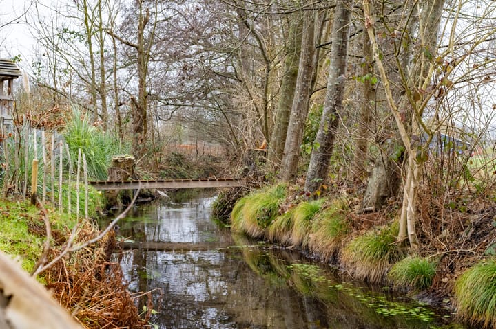 Foto 29 van Lierderstraat 41-A