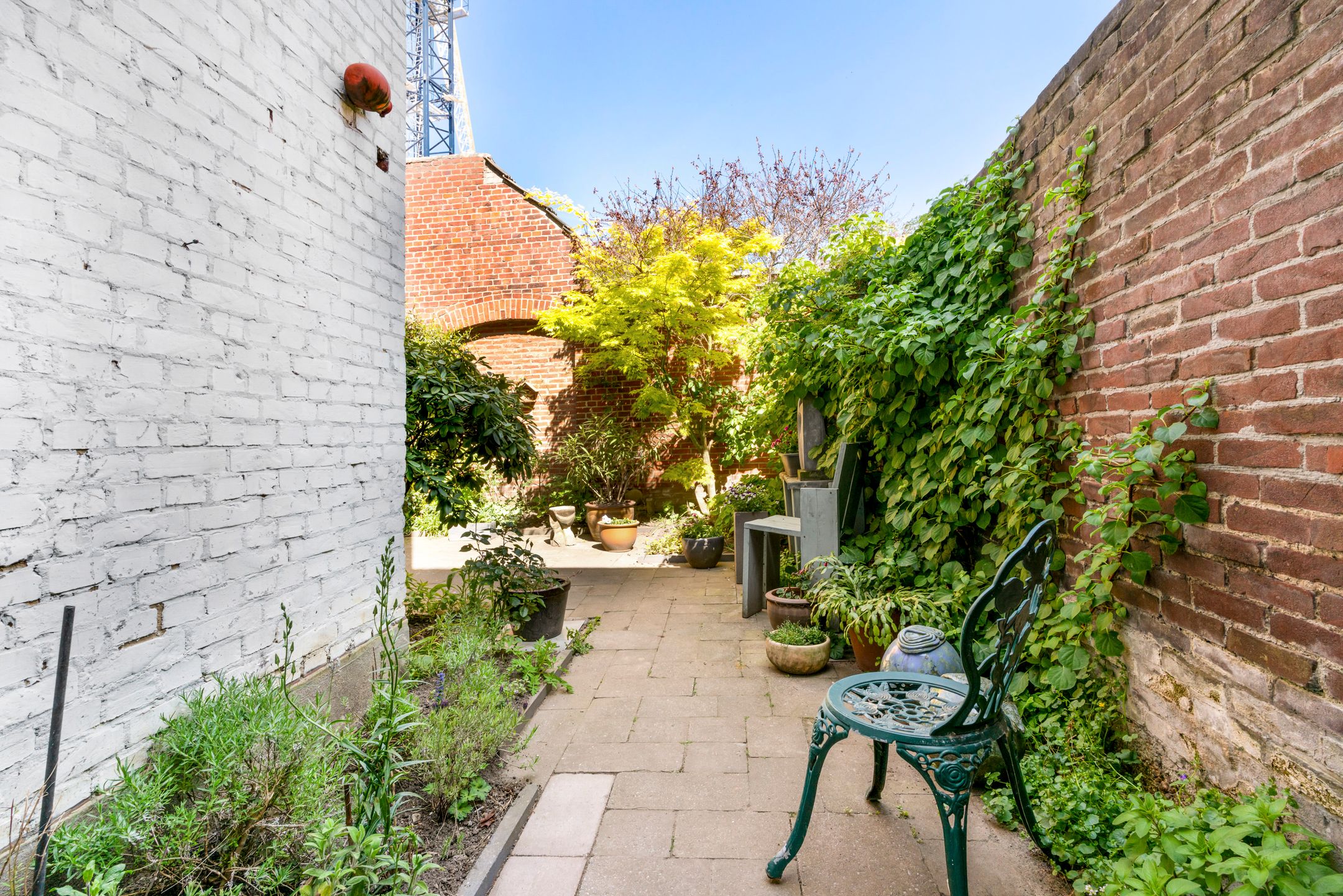 Photo 27 of Wilhelminaplein 3