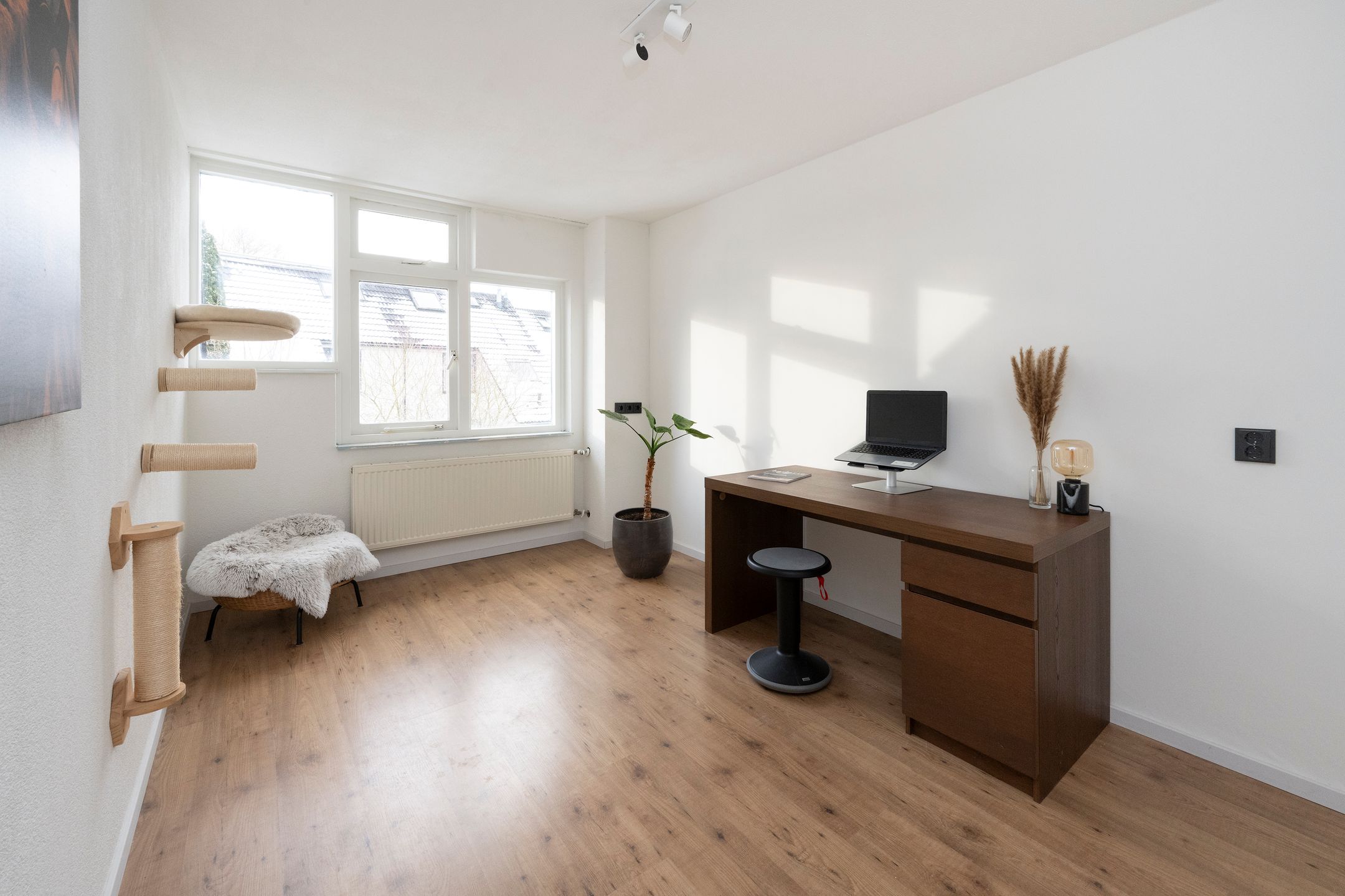 Photo 15 of Braamkamp 243