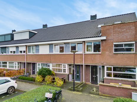 Christiaan Sepplaan thumbnail