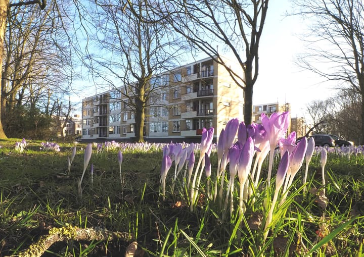 Photo 4 of M. Harpertszoon Tromplaan 222