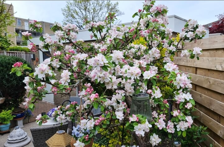 Foto 32 van Wim Gerreselaan 17