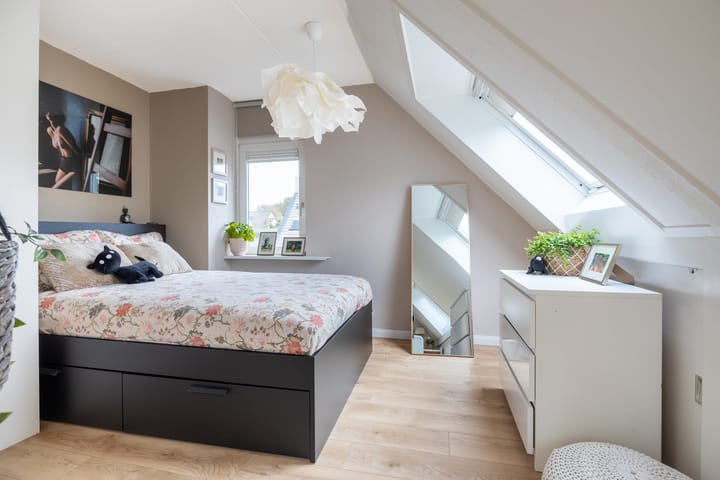 Foto 23 van Roerdomp 24