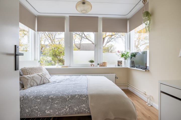 Foto 25 van Roerdomp 24