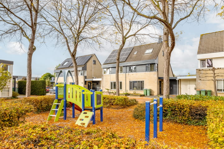 Foto 39 van Roerdomp 24