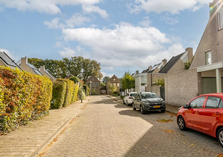 Foto 40 van Roerdomp 24