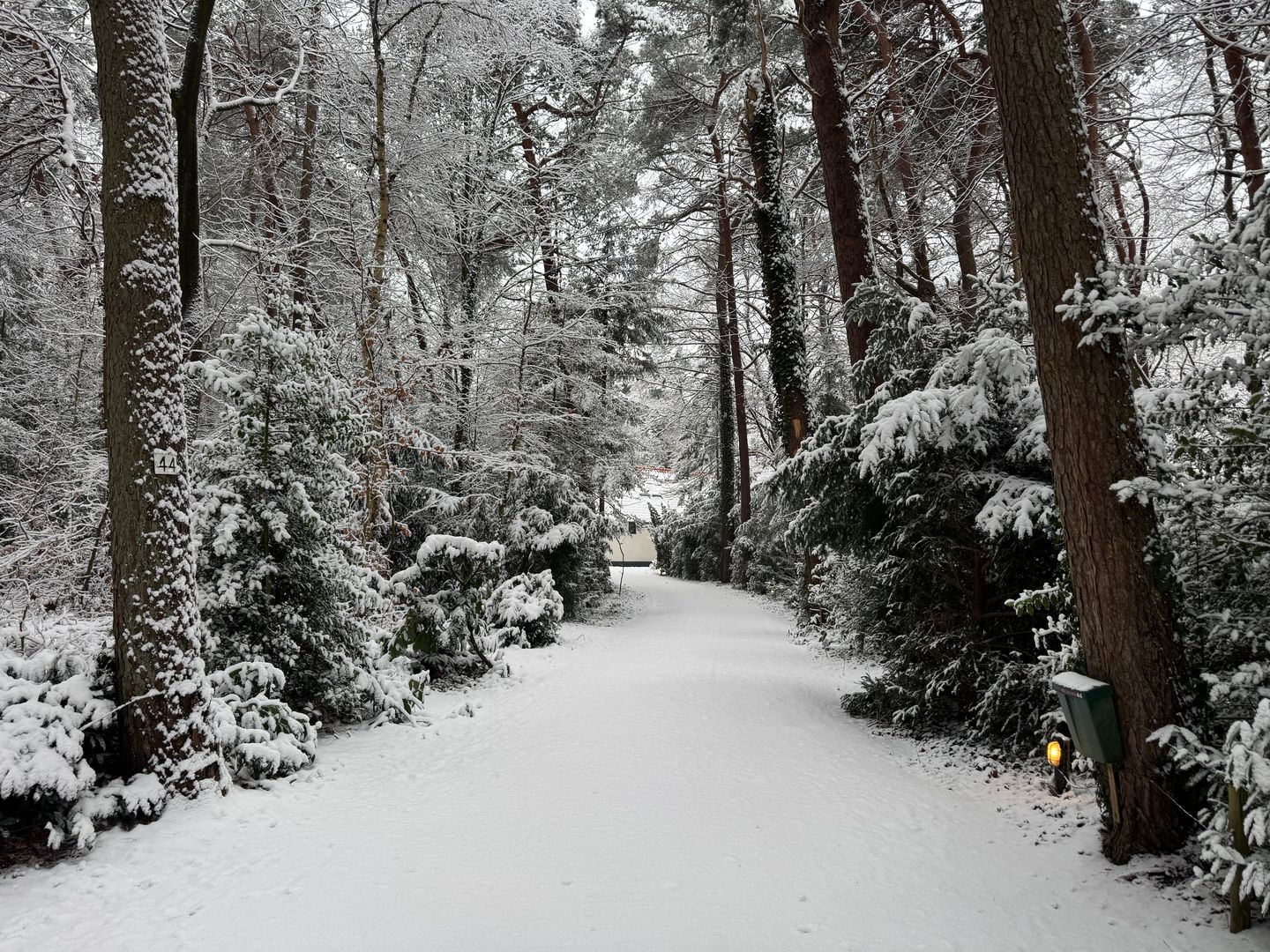 Foto 5 van Brandsweg 44