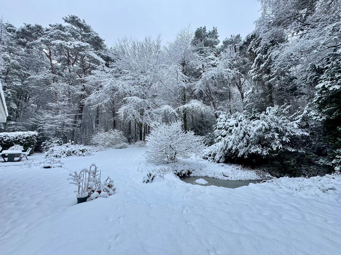 Foto 44 van Brandsweg 44