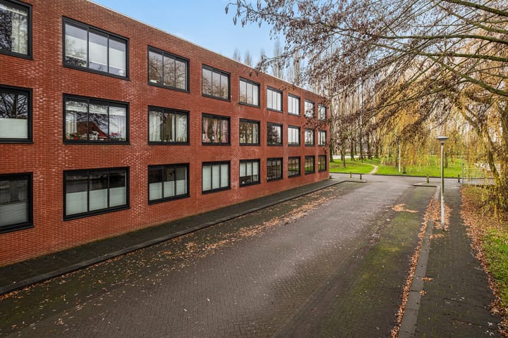 Foto 3 van Elzenmos 80