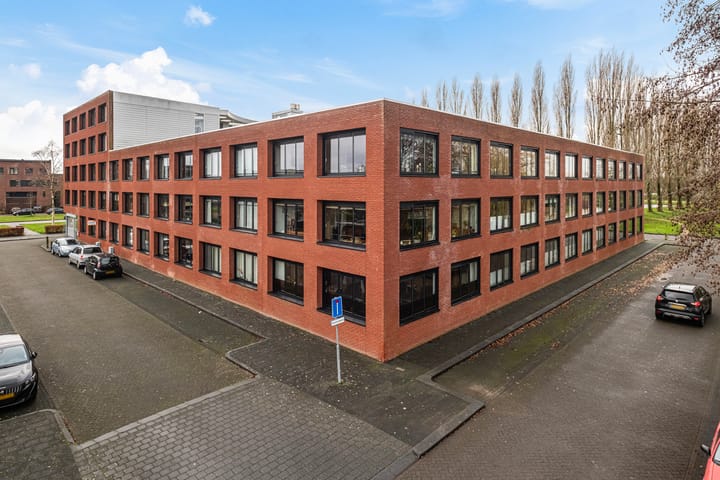 Foto 4 van Elzenmos 80