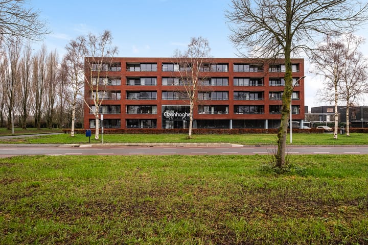 Foto 6 van Elzenmos 80