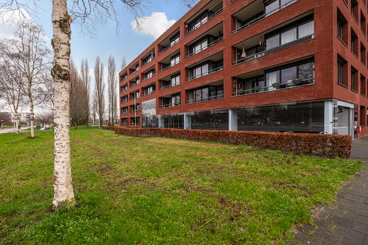 Foto 7 van Elzenmos 80