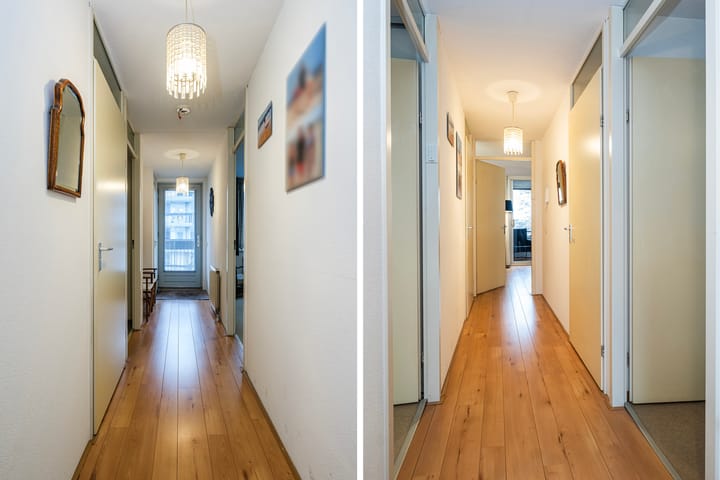 Foto 15 van Elzenmos 80