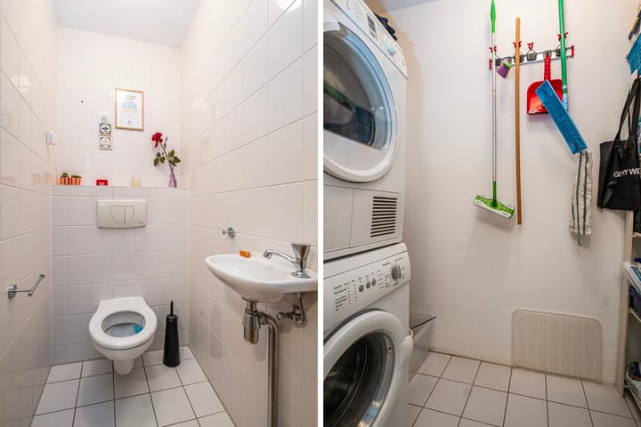 Foto 16 van Elzenmos 80