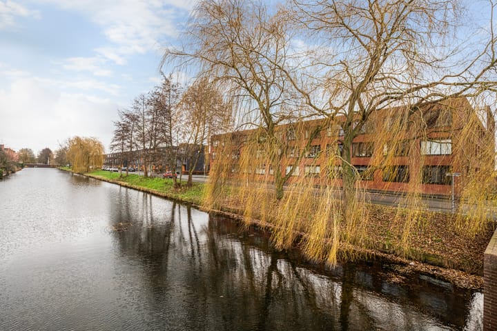 Foto 39 van Elzenmos 80