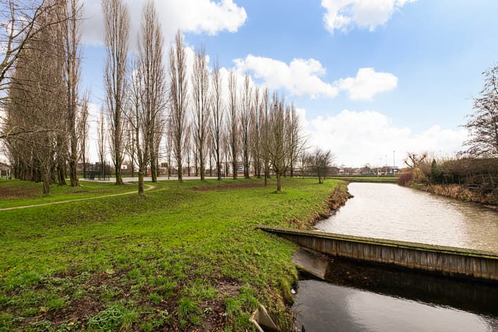 Foto 40 van Elzenmos 80