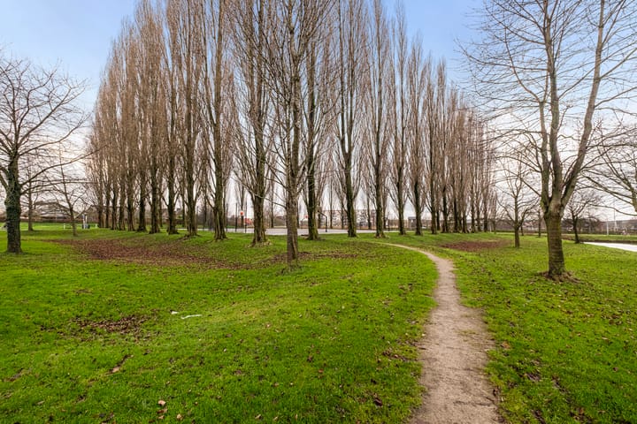 Foto 41 van Elzenmos 80