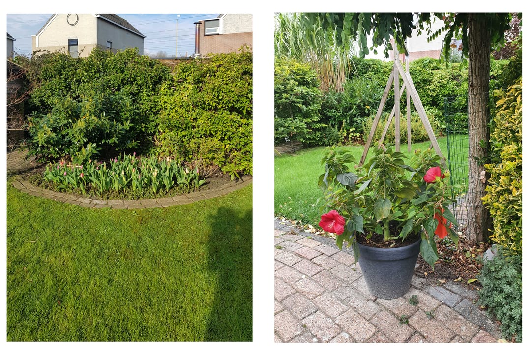 Foto 37 van de Pôle 9