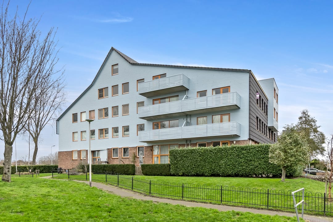 Photo 1 of Cypergras 113