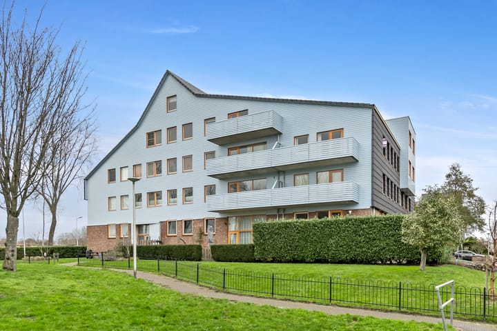 Cypergras 113 main image